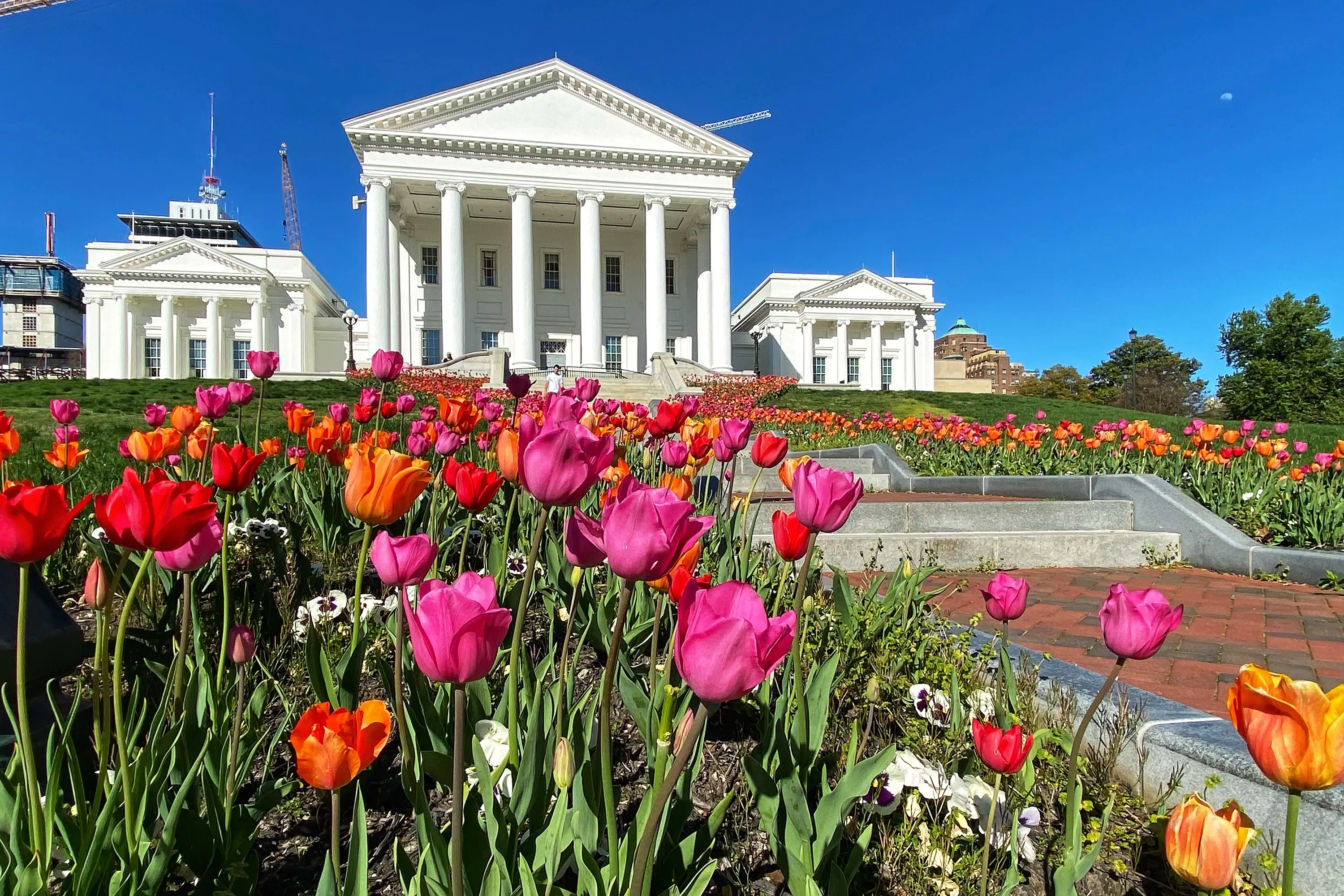 The flower garden at the Virginia Capitol