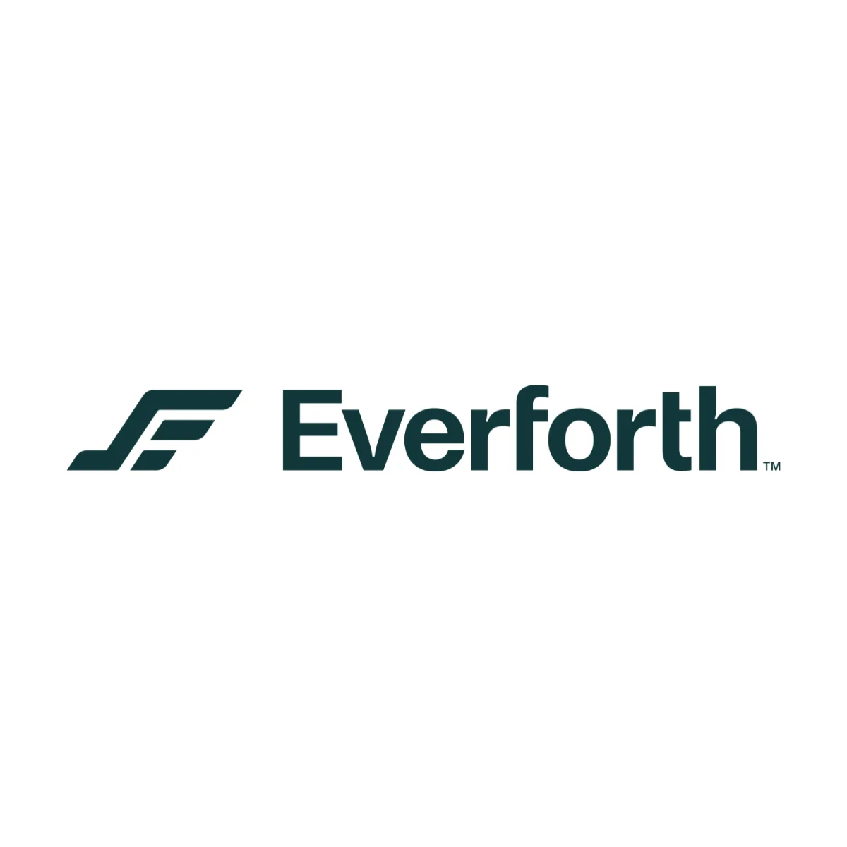 Company Logo for Everforth